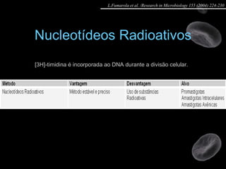 Nucleotídeos Radioativos [3H]-timidina é incorporada ao DNA durante a divisão celular.    L.Fumarola et al. /Research in Microbiology 155 (2004) 224-230 