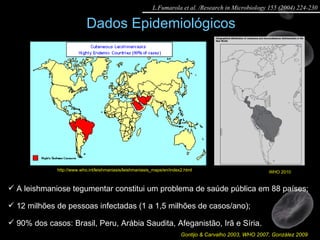 Dados Epidemiológicos A leishmaniose tegumentar constitui um problema de saúde pública em 88  países; 12 milhões de pessoas infectadas (1 a 1,5 milhões de casos/ano); 90% dos casos: Brasil, Peru, Arábia Saudita, Afeganistão, Irã e Síria.  http://www.who.int/leishmaniasis/leishmaniasis_maps/en/index2.html Gontijo & Carvalho 2003, WHO 2007, González 2009 WHO 2010 L.Fumarola et al. /Research in Microbiology 155 (2004) 224-230 