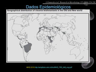 Dados Epidemiológicos WHO 2010: http://whqlibdoc.who.int/trs/WHO_TRS_949_eng.pdf   L.Fumarola et al. /Research in Microbiology 155 (2004) 224-230 
