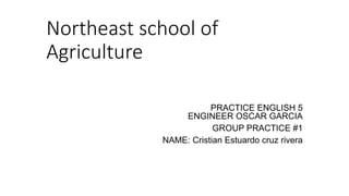 Northeast school of
Agriculture
PRACTICE ENGLISH 5
ENGINEER OSCAR GARCIA
GROUP PRACTICE #1
NAME: Cristian Estuardo cruz rivera
 