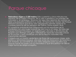 Parque chicaqueNaturaleza virgen a 2.200 metros Sólo cuarenta y cinco minutos nos separan de la caótica Bogotá, de su olor a gasolina y sus paisajes de concreto y, sin embargo, estamos tan lejos que delante de nosotros se abre una exquisita panorámica verde, el imponente mirador del Parque Natural Chicaque que en los días despejados permite observar la cumbres blancas de los nevados del Tolima, Santa Isabel y Ruiz.Su superficie ondulante fue comparada por los españoles de la conquista con una mujer a punto de dar a luz a un virrey. Se trata del Parque Natural Chicaque, un virginal lugar ubicado a 45 minutos de Bogotá que alberga una gran variedad de especies naturales únicas en el mundo y que constituye uno de los tesoros naturales más importantes del país. Cubierto por un manto verde lleno de flores de numerosas clases, este exótico y armonioso bosque, ubicado entre los municipios de Soacha y San Antonio, se convierte en una visita obligada para aquellos que buscan hacer las pases con la naturaleza o que encuentran en ella la mejor forma de relajar el espíritu.
