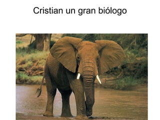 Cristian un gran biólogo 