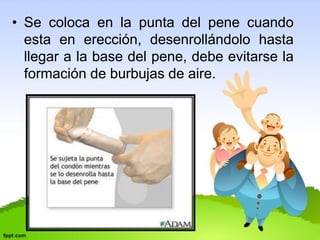 • Se coloca en la punta del pene cuando 
esta en erección, desenrollándolo hasta 
llegar a la base del pene, debe evitarse la 
formación de burbujas de aire. 
 