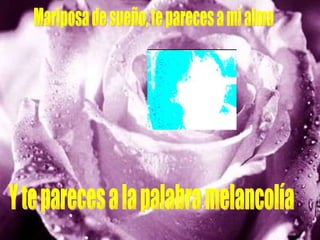 Mariposa de sueño, te pareces a mi alma Y te pareces a la palabra melancolía