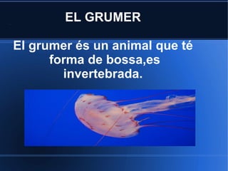 EL GRUMER

El grumer és un animal que té
      forma de bossa,es
        invertebrada.
 
