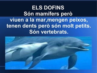 ELS DOFINS
      Són mamífers però
 viuen a la mar,mengen peixos,
tenen dents però són molt petits.
         Són vertebrats.
 
