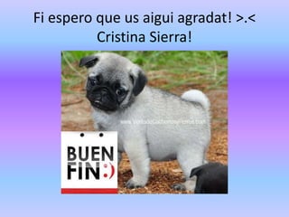 Fi espero que us aigui agradat! >.<
Cristina Sierra!
 