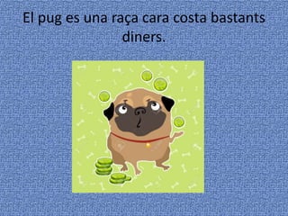 El pug es una raça cara costa bastants
diners.
 