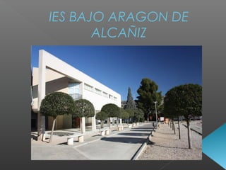 IES BAJO ARAGON DE
ALCAÑIZ
 