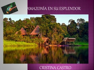 AMAZONÍA EN SU ESPLENDOR
CRISTINA CASTRO
 