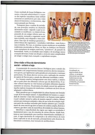 Da Ilustração ao nascimento das Ciências Sociais - Cristina Costa