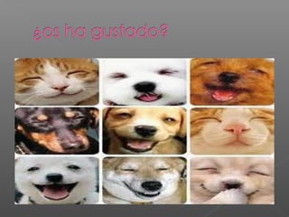 Cristina coto doñana