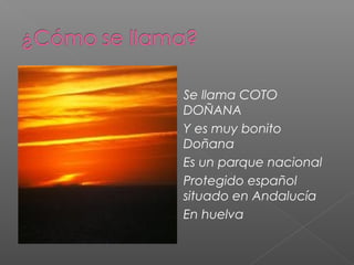 Se llama COTO
DOÑANA
Y es muy bonito
Doñana
Es un parque nacional
Protegido español
situado en Andalucía
En huelva
 