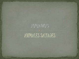 ANIMALES SALVAJES
 