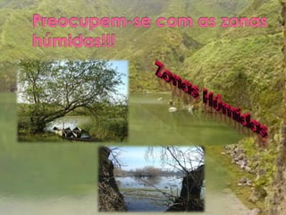 Preocupem-se com as zonas húmidas!!!Zonas Húmidas
