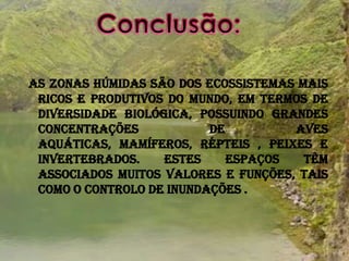  As zonas húmidas são dos ecossistemas mais ricos e produtivos do mundo, em termos de diversidade biológica, possuindo grandes concentrações de aves aquáticas, mamíferos, répteis , peixes e invertebrados. Estes espaços têm associados muitos valores e funções, tais como o controlo de inundações .Conclusão: