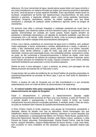delavoura. Os ricos mananciais de água, àquela época quase todos com água corrente o
ano todo,completavam um sistema formado por brejos com terrenos propícios à plantação
de arroz, cana-de-açúcar e outras espécies hidrófilas. Eram abundantes nestes locais os
buritizais, umapalmeira da família das lepidocaríneas (mauritiavinifera), de belo porte
altaneiro e gracioso, e degrande utilidade, assim como outras espécies: bananeiras,
laranjeiras, limoeiros, abacateiros, eoutras, da melhor qualidade, sem que fôsse
necessário a utilização de qualquer adubo oudefensivo agrícola contra as pragas ali
inexistentes.

Os terrenos mais altos e imensas chapadas e caatingas prestavam-se muito bem à
criação degado, com rebanhos sadios e de bom tamanho e peso, se comparado com o do
agreste, eramvendidos em boiadas em outras praças. Esses lugares também se
prestavam à plantação damandioca e do algodão de excelente qualidade, cuja fibra era
comparada com a de Seridó, noRio Grande do Norte, onde se produzia algodão muito
procurado e da melhor cotação entre oscompradores estrangeiros.

A flora, rica e densa, acobertava os mananciais de água pura e cristalina, sem qualquer
índice depoluição; a fauna, exuberante e variada, destacando-se o veado, a capivara, o
caititu, o tatú, otamanduá; entre os répteis, jacaré, jibóia, sucuri, e os ofídios, cascavél,
jararaca, coral; dentre osfelinos, o gato do mato, cuja pele era muito procurada e
valorizada, inclusive para exportação,onças, nas variedades pintada, sussuarana e preta,
as quais, de tão numerosas e bravias,enriqueceram o folclore da região, onde eram
conhecidos os contadores de estórias de onçasque atacavam animais e pessoas, assim
como ficaram famosos os matadores de onças, osquais contavam, como vimos, estórias
realmente fantásticas que passavam a correr de pessoa apessoa.

Dentre as aves, a ema selvagem, o jacú, a seriema, as araras, com plumagem de rara
beleza,revoavam aos bandos de um lado para o outro.

A esse tempo não se sabia da existência de um lençol freático de grandes proporções no
subsolocorrespondente ao povoado de Nova Lapa, o que só mais tarde foi detectado e
descoberto.

Porém, a riqueza do vale do Gurguéia era um fato incontestável e a sua conquista
seapresentava como um misto de temor do desconhecido e de esperança.

3. - O notável trabalho feito pelos empregados da firma C. C. & Irmão na conquista
edesenvolvimento da região do Gurguéia.

Fazer o devassamento e promover o desenvolvimento daquela região
promissora,incorporandoà economia do Piauí uma nova fronteira, a partir de Floriano, foi
o grande desafio a querespondeu a firma Cristino Castro & Irmão, ao investir
maciçamente recursos próprios numprojeto grandioso, é verdade, porém, cheio de riscos,
os quais se revelaram bem maiores do queseria tecnicamente possível prever.

A firma Cristino Castro & Irmão organizou uma equipe de funcionários competente e
dedicada, àaltura do desafio com que se defrontava. Numa homenagem aos que
trabalharam desde o iníciodessa arrancada histórica, citaremos os nomes daqueles que
mais se destacaram, a começarpela loja Matriz, em Floriano: Pedro Nunes, guarda-livros,
Raimundo Nascimento, Manoel Alvesde Almeida, João Ribeiro (Jóca), auxiliares, e Alda
Ferreira de Castro, arquivista. Comobalconistas, Vicente Duarte Franco, José da Costa
Nunes, Joaquim Brasileiro, Joaquim Noleto,Manoel de Souza Santos, o qual, mais tarde,
bem sucedido no ramo imobiliário do Rio deJaneiro, elegeu-se deputado federal pelo
Piauí.
 