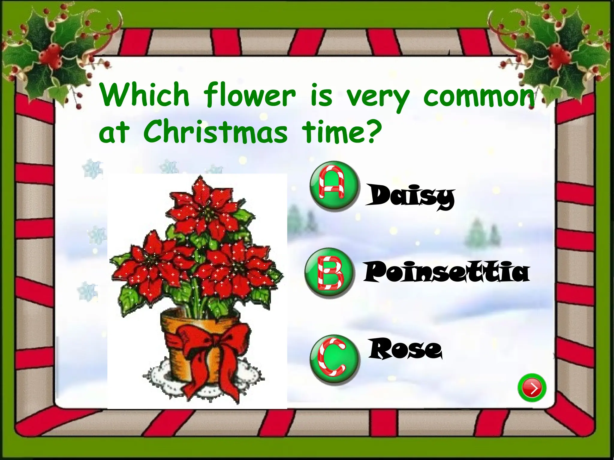 Which flower is very common
at Christmas time?
Daisy
Rose
Poinsettia
 