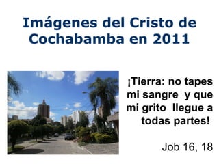 Imágenes del Cristo de Cochabamba en 2011 ¡Tierra: no tapes mi sangre  y que mi grito  llegue a todas partes!   Job 16, 18 
