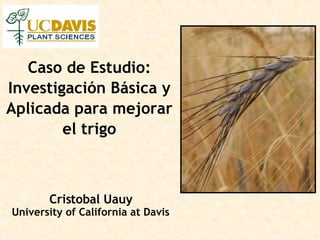 Caso de Estudio: Investigación Básica y Aplicada para mejorar el trigo Cristobal Uauy University of California at Davis 