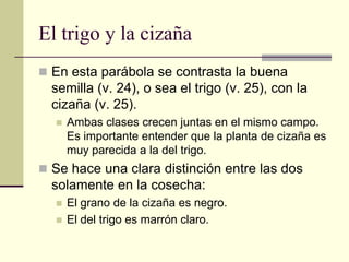 El trigo y la cizaña
 En esta parábola se contrasta la buena
  semilla (v. 24), o sea el trigo (v. 25), con la
  cizaña (v. 25).
     Ambas clases crecen juntas en el mismo campo.
      Es importante entender que la planta de cizaña es
      muy parecida a la del trigo.
 Se hace una clara distinción entre las dos
  solamente en la cosecha:
     El grano de la cizaña es negro.
     El del trigo es marrón claro.
 