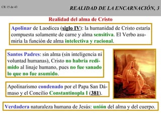 REALIDAD DE LA ENCARNACIÓN, 3 Realidad del alma de Cristo Apolinar  de Laodicea ( siglo IV ): la humanidad de Cristo estaría compuesta solamente de carne y alma  sensitiva . El Verbo asu- miría la función de alma  intelectiva y racional . Santos Padres : sin alma (sin inteligencia ni voluntad humanas), Cristo  no habría redi- mido  al linaje humano, pues  no fue sanado lo que no fue asumido . Apolinarismo  condenado  por el Papa San Dá- maso y el Concilio  Constantinopla I  ( 381 ). Verdadera  naturaleza humana de Jesús:  unión  del alma y del cuerpo.  CR 15 de 43 