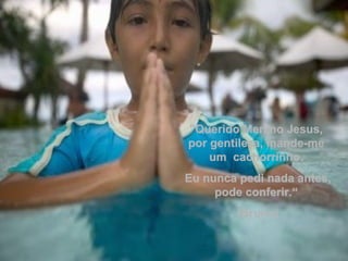"Querido Menino Jesus, por gentileza, mande-me um  cachorrinho. Eu nunca pedi nada antes, pode conferir.“ (Bruno) 
