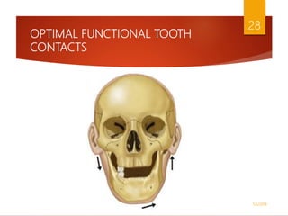 OPTIMAL FUNCTIONAL TOOTH
CONTACTS
1/5/2018
28
 