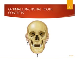OPTIMAL FUNCTIONAL TOOTH
CONTACTS
1/5/2018
30
 