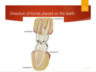 Direction of forces placed on the teeth
1/5/2018
34
 