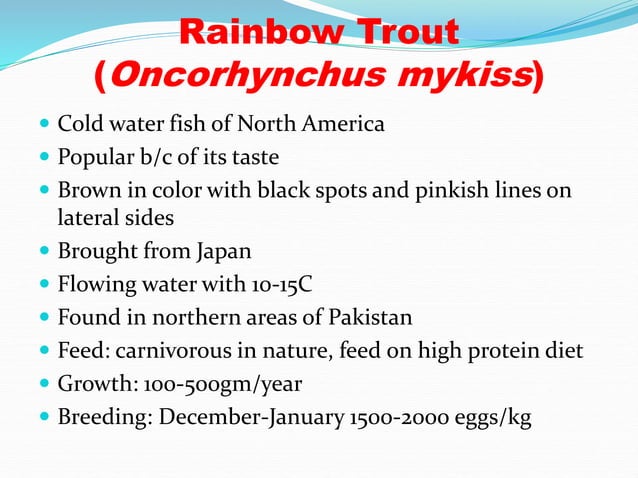 Criteria for selection of fish species.ppt - Importance Of Aquarium Breeder Selection Criteria