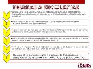 1
•Establecer si en los últimos 6 meses los trabajadores llamados a descargos son
trabajadores sindicalizados o trabajadores no sindicalizados beneficiarios del pacto
colectivo.
2
•Hacer relación de trabajadores que siendo sindicalizados se desafilian de la
organización sindical y son ascendidos.
3
•Hacer la relación de trabajadores despedidos desde la vigencia del pacto colectivo y
establecer si los despedidos eran trabajadores sindicalizados.
4
•Hacer la relación del número de trabajadores sindicalizados que se desafiliaron desde
la entrada en vigencia del pacto (línea del tiempo)
5
•Verificar si la empresa informa a trabajadores nuevos en la inducción la existencia del
sindicato y la oportunidad que tienen de afiliarse al mismo.
6
•Comparativo entre contratos de trabajo de trabajadores
beneficiarios de la convención colectiva y del pacto colectivo
 