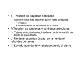  e) Tracción de trayectos nerviosos
− Sección reste más proximal que el resto de tejidos
 retracción
 Evitar desarrollo de neurinomas en la cicatriz
 f) Tracción de tendones y cartilagos articulares
− Tejidos avascularizados, interfieren en la formación de
tejido de granulación
 g) No dejar esquirlas óseas en la herida ni
rebordes cortantes
 h) Lavado abundante y reiterado previo al cierre
 