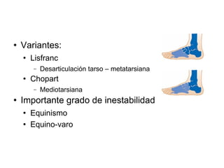  Variantes:
 Lisfranc
− Desarticulación tarso – metatarsiana
 Chopart
− Mediotarsiana
 Importante grado de inestabilidad
 Equinismo
 Equino-varo
 