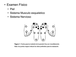  Examen Físico
 Piel
 Sistema Musculo esqueletico
 Sistema Nervioso
 