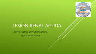 LESIÓN RENAL AGUDA
DAVID JULIAN GAVINO MAQUERA
HVCA ENERO 2024
 