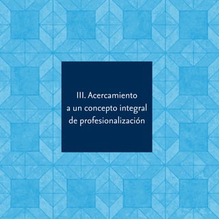22 Criterios para la Profesionalización de la Función Asesora del Sistema Regional de Asesoría Académica a la Escuela
III. Acercamiento
a un concepto integral
de profesionalización
 