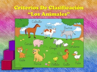 Criterios De Clasificación
     “Los Animales”
 