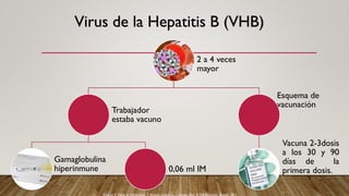 Virus de la Hepatitis B (VHB)
2 a 4 veces
mayor
Trabajador
estaba vacuno
Gamaglobulina
hiperinmune 0,06 ml IM
Esquema de
vacunación
Vacuna 2-3dosis
a los 30 y 90
días de la
primera dosis.
Álvarez, F. Faizal, E. Valderrama, F. Riesgos biológicos y bioseguridad. ECOE Ediciones. Bogotá. 2011.
 