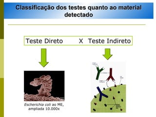 Classificação dos testes quanto ao material
detectado

Teste Direto

Escherichia coli ao ME,
ampliada 10.000x

X Teste Indireto

 