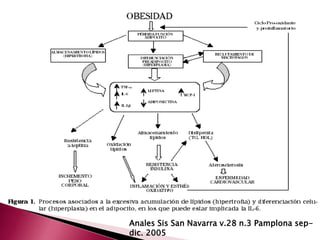 Anales Sis San Navarra v.28 n.3 Pamplona sep-dic. 
2005 
 