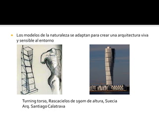    Los modelos de la naturaleza se adaptan para crear una arquitectura viva
    y sensible al entorno




       Turning torso, Rascacielos de 190m de altura, Suecia
       Arq. Santiago Calatrava
 