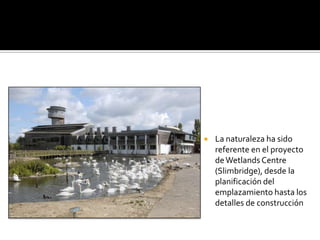    La naturaleza ha sido
    referente en el proyecto
    de Wetlands Centre
    (Slimbridge), desde la
    planificación del
    emplazamiento hasta los
    detalles de construcción
 