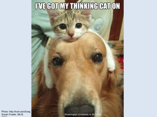 Photo: http://kuln.es/c5cwg
Susan Fowler, MLIS            Washington University in St. Louis
 