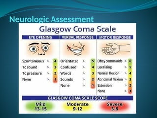 Neurologic Assessment
 