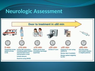 Neurologic Assessment
 