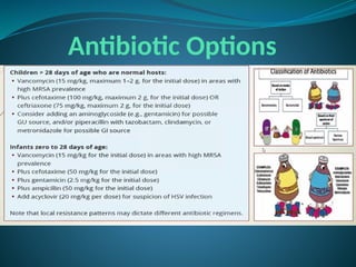 Antibiotic Options
 