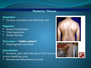 Posterior Thorax
Inspection
 Contour, symmetry and deformity, skin
Palpation
 Areas of tenderness
 Chest expansion
 Tactile fremitus
Percussion - "ladder pattern"
 Diaphragmatic Excursion
Auscultation
 Duration, pitch and intensity of I & E sounds
in one breathing cycle
 Normal and Adventitious Sounds
 