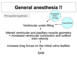 Systolic anterior motion of mitral valve - SAM | PPT