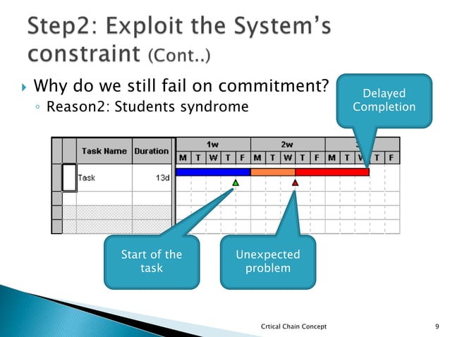 Effective Program Management | PPTX